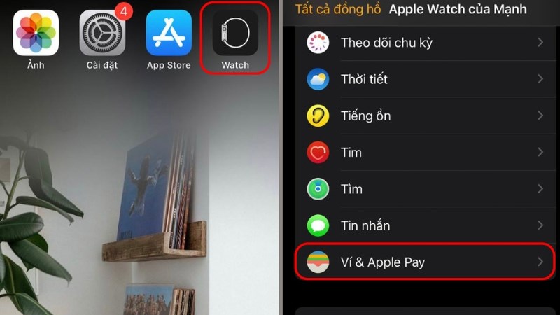 Chọn Ví & Apple Pay